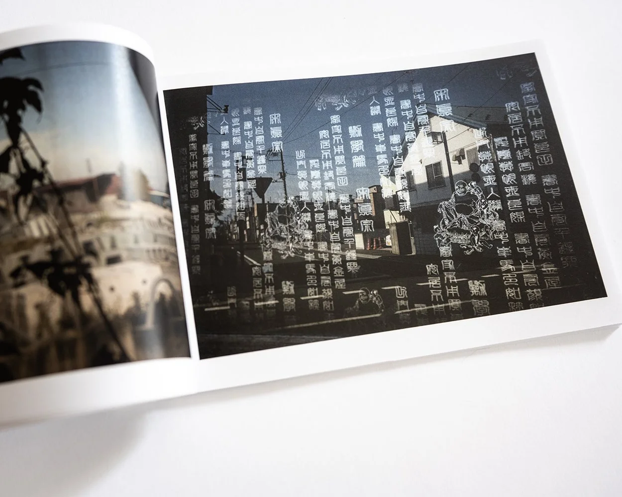 William Eggleston: Mystery of the Ordinary — bookdummypress